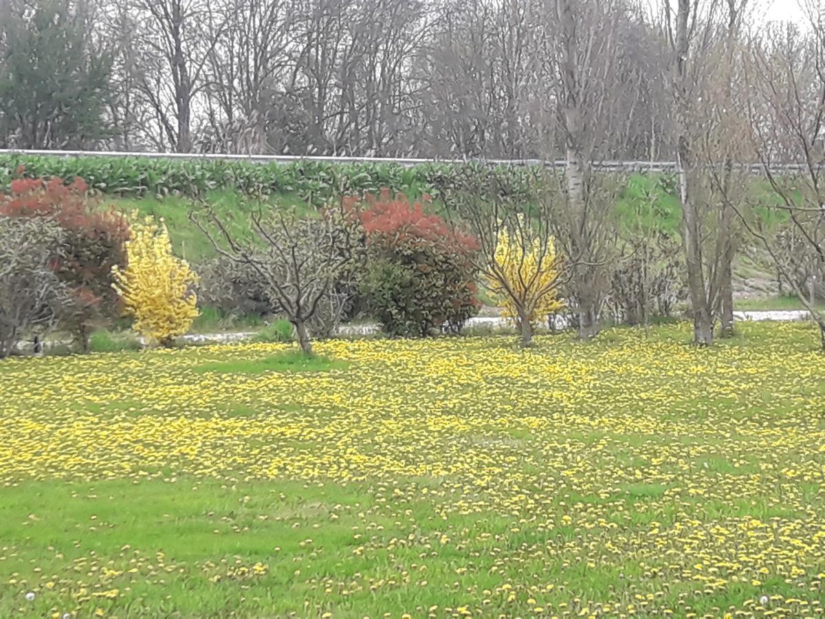 Alloggio per agriturismo Al Navile *